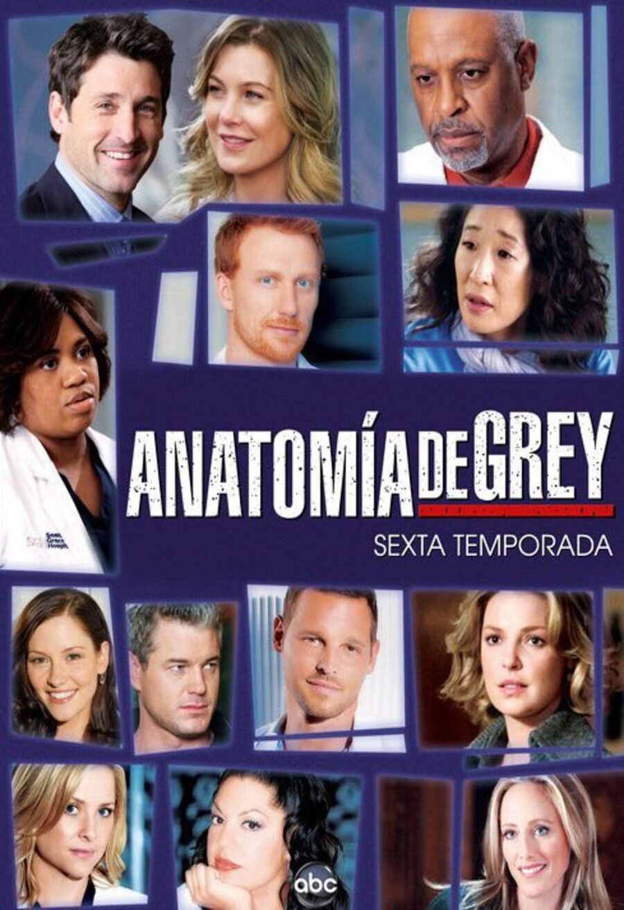 Cartel de Grey's Anatomy - Temporada 6