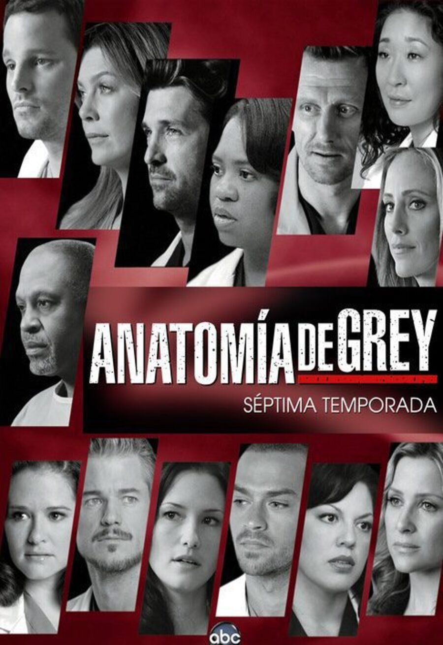 Cartel de Grey's Anatomy - Temporada 7