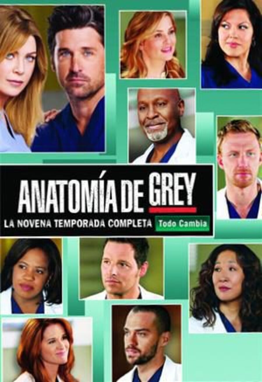 Cartel de Grey's Anatomy - Temporada 9