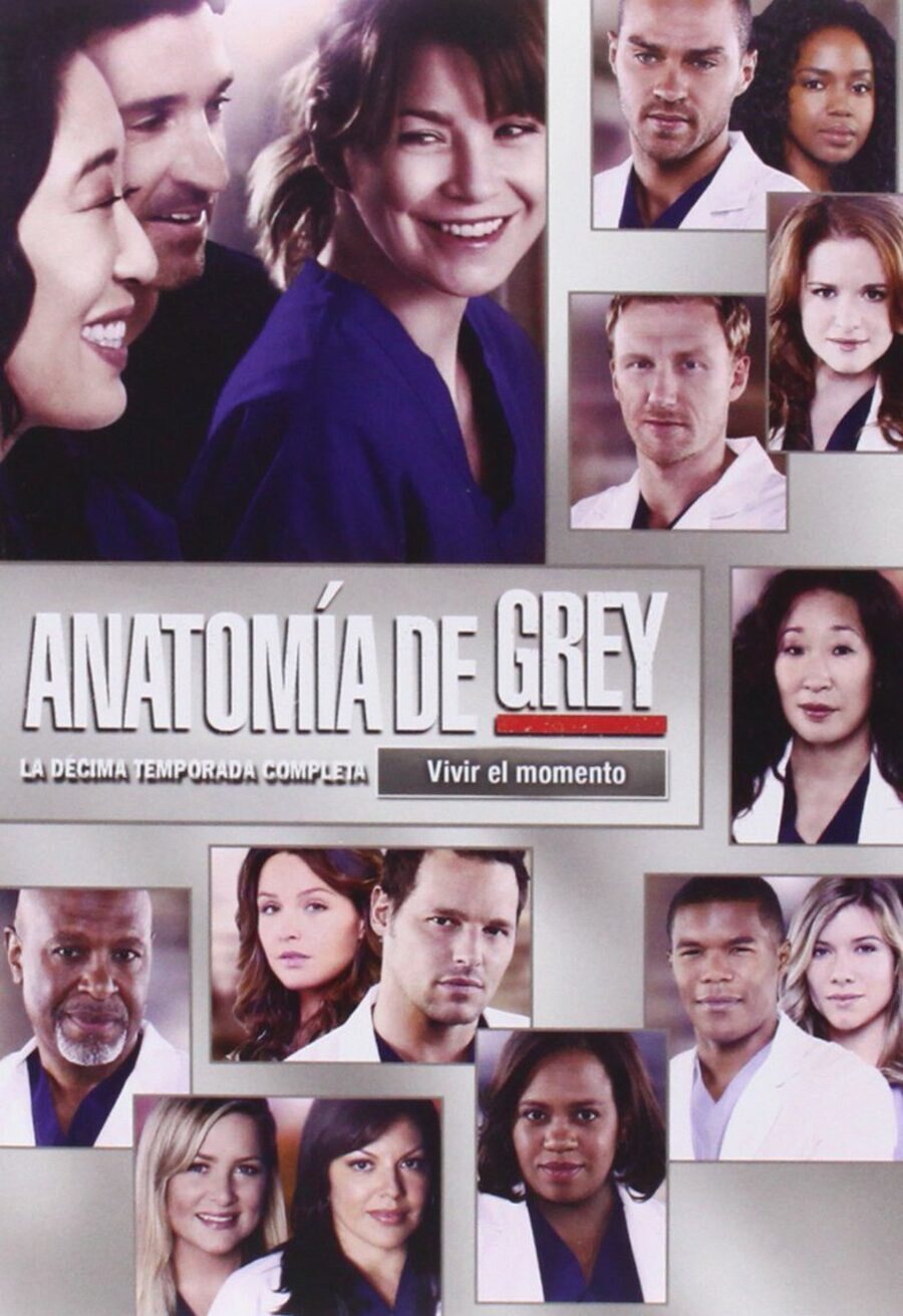 Cartel de Grey's Anatomy - Temporada 10