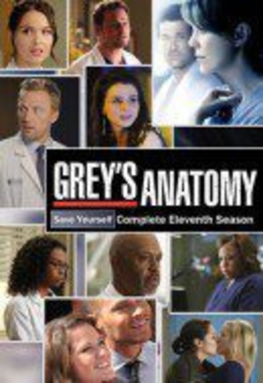 Cartel de Grey's Anatomy - Temporada 11