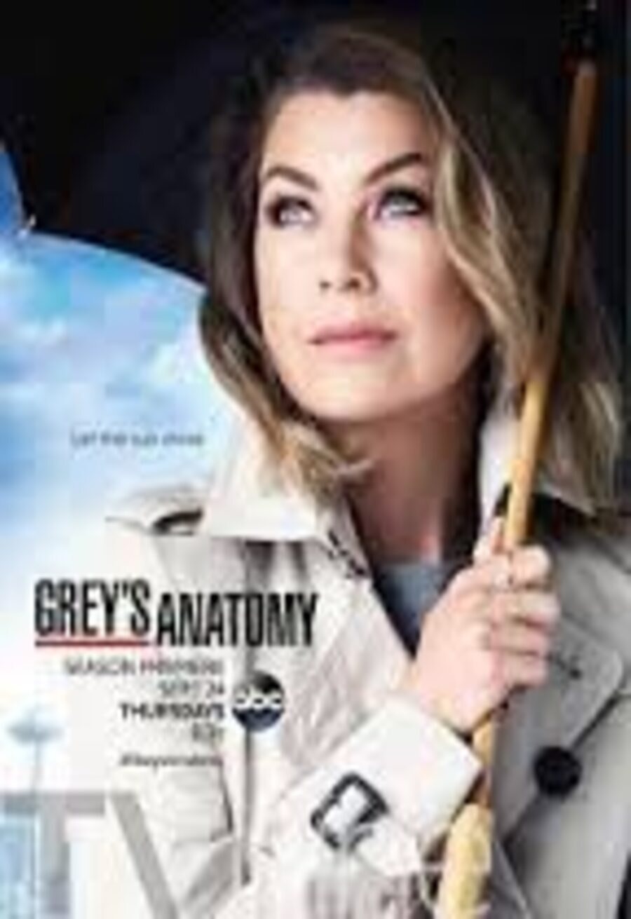 Cartel de Grey's Anatomy - Temporada 12