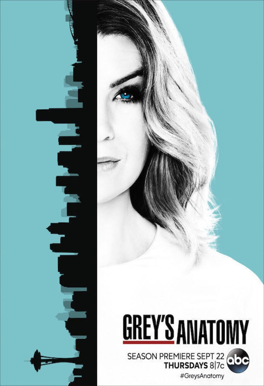 Cartel de Grey's Anatomy - Temporada 13