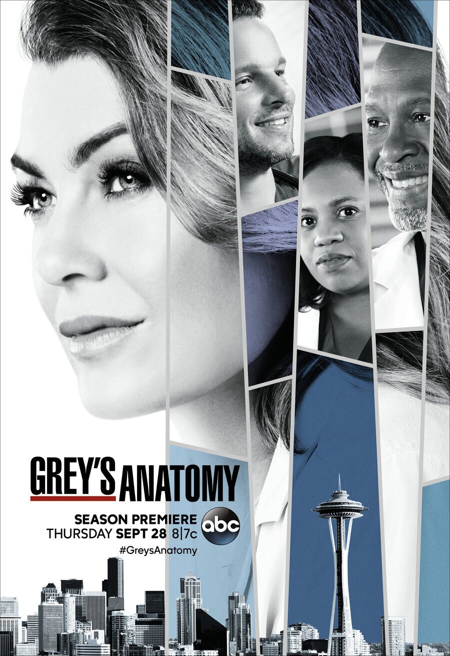 Cartel de Grey's Anatomy - Temporada 14