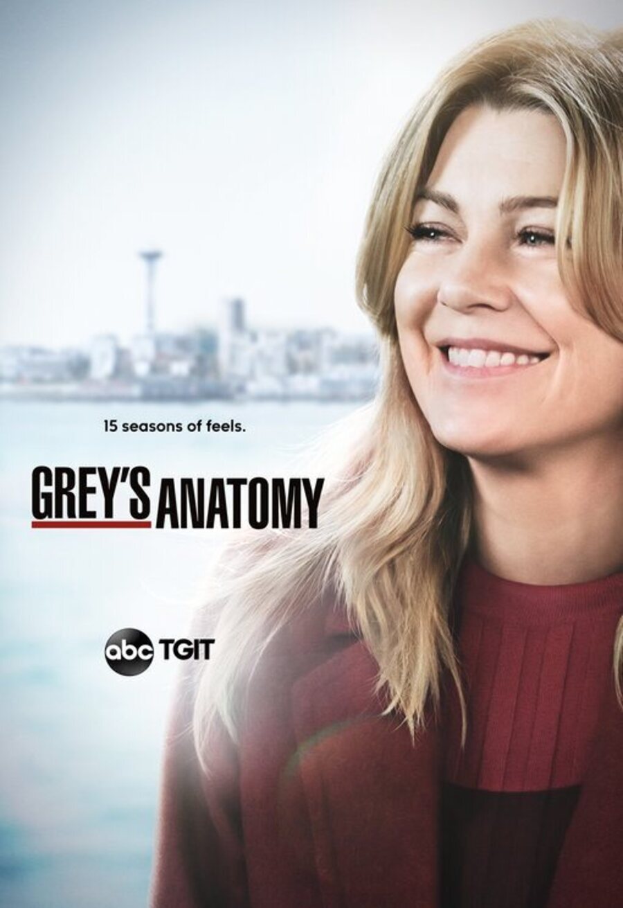 Cartel de Grey's Anatomy - Temporada 15