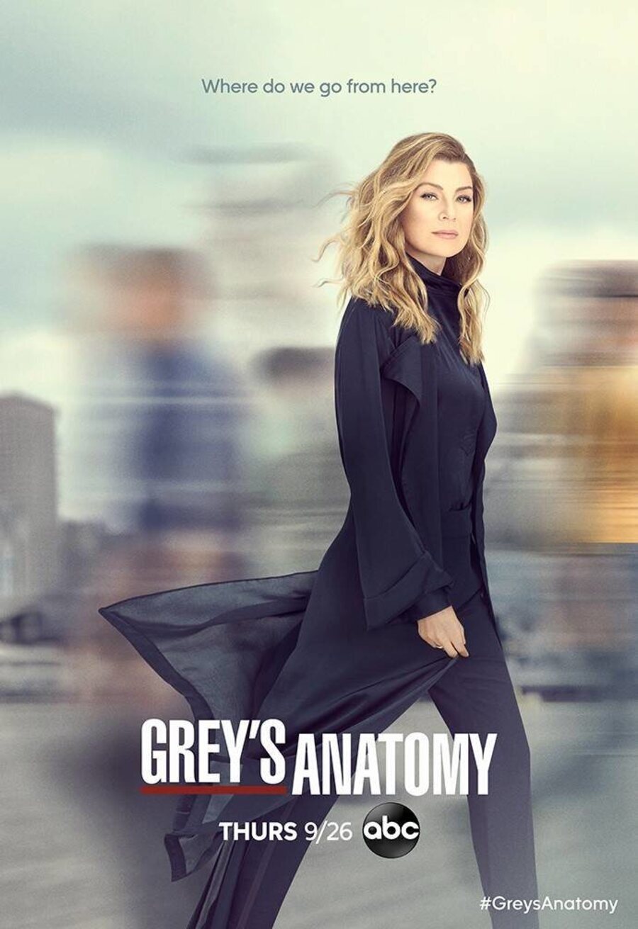 Cartel de Grey's Anatomy - Temporada 16