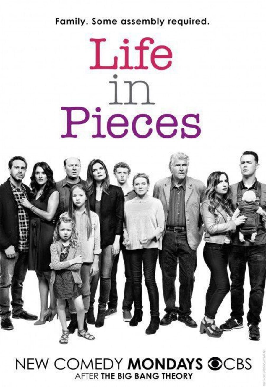 Cartel de Life in Pieces - Primera temporada