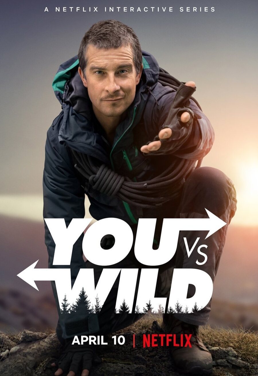 Cartel de You vs. Wild - 