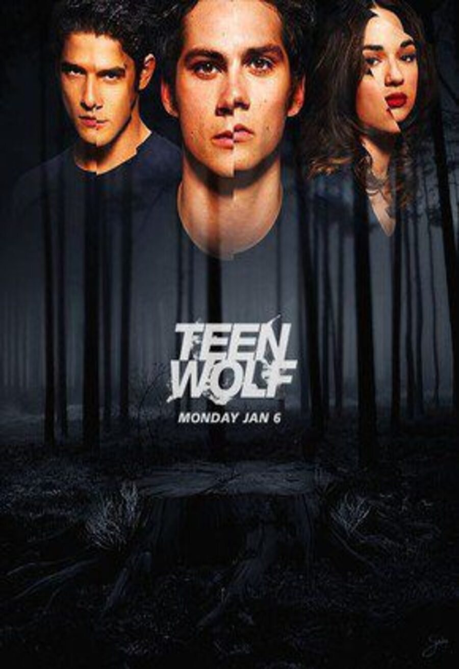 Cartel de Teen Wolf - Temporada 3