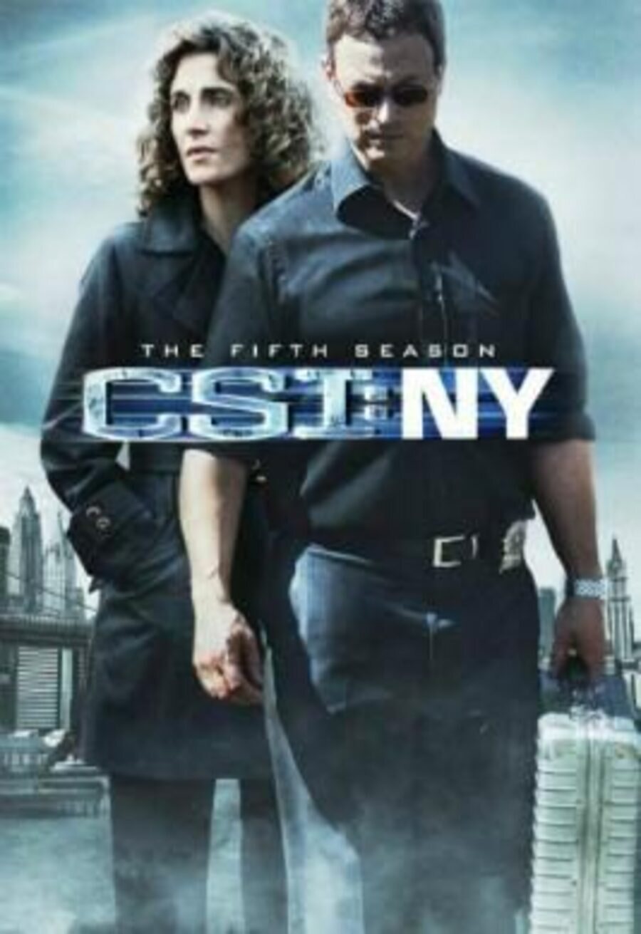 Cartel de CSI: NY - Temporada 5