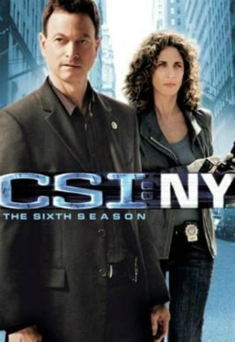 Cartel de CSI: NY - Temporada 6