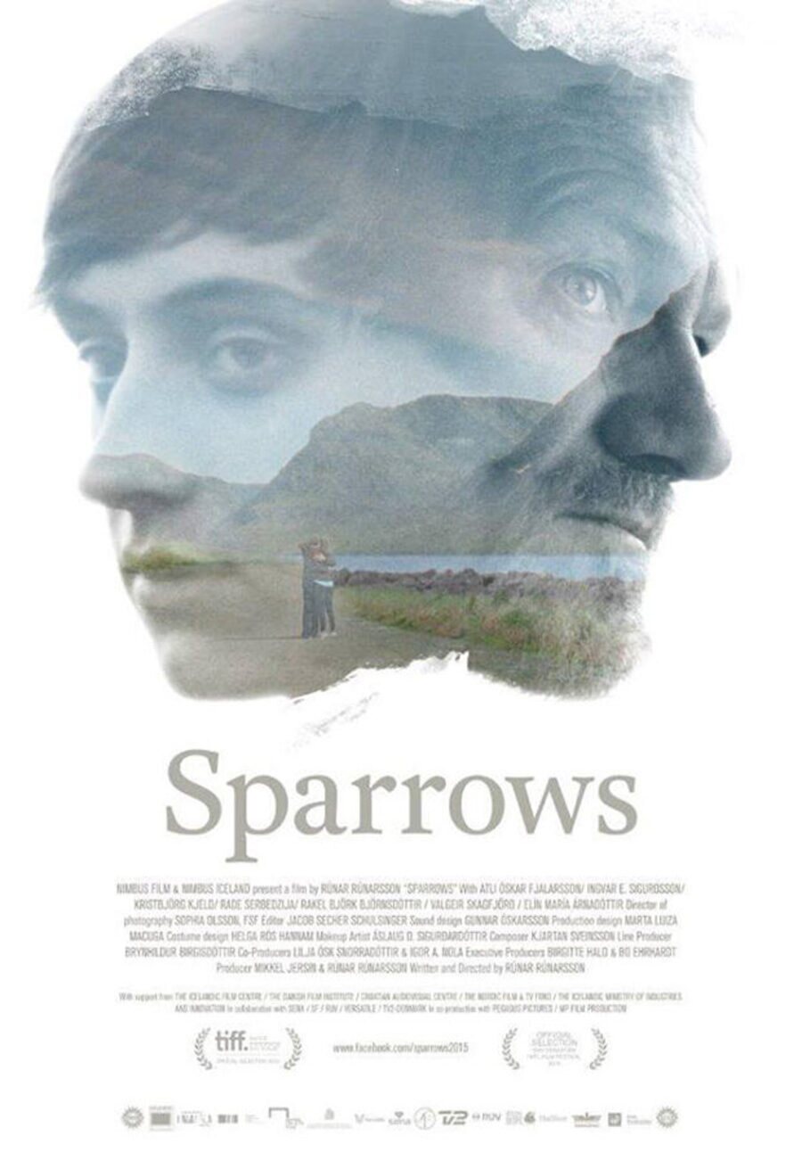 Cartel de Despegando a la vida - Sparrows