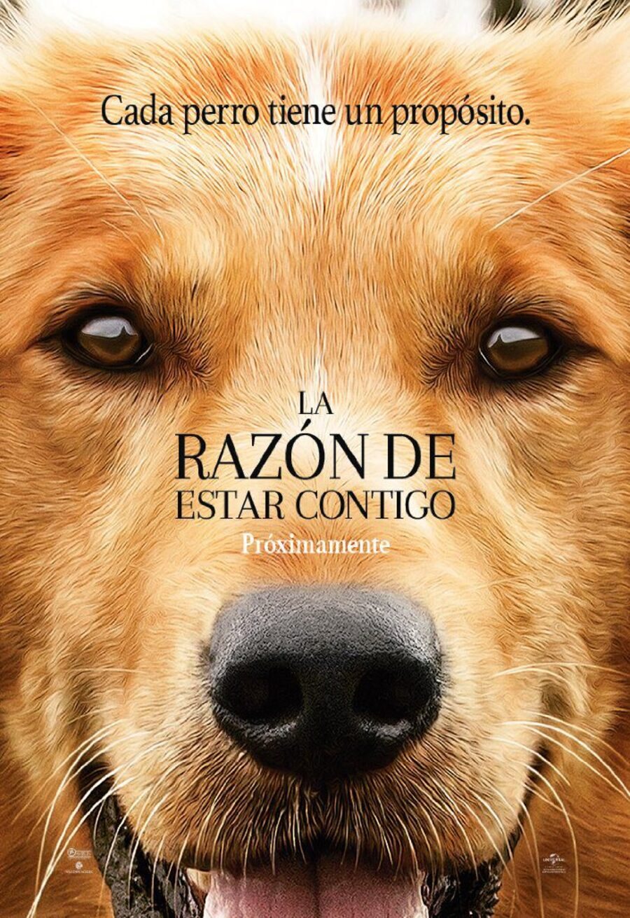 Cartel de La razón de estar contigo - España