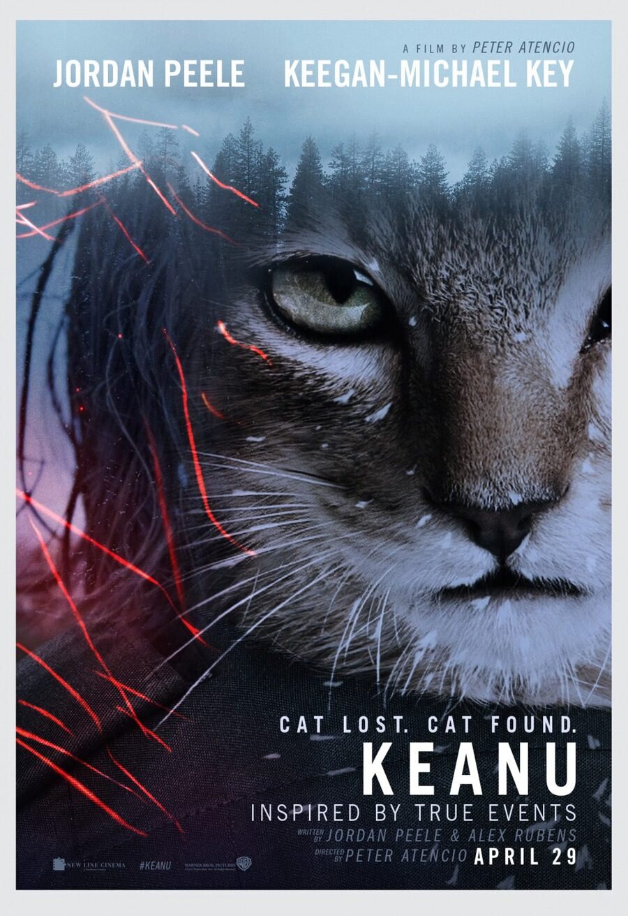 Cartel de Keanu - Parodia 'El Renacido'