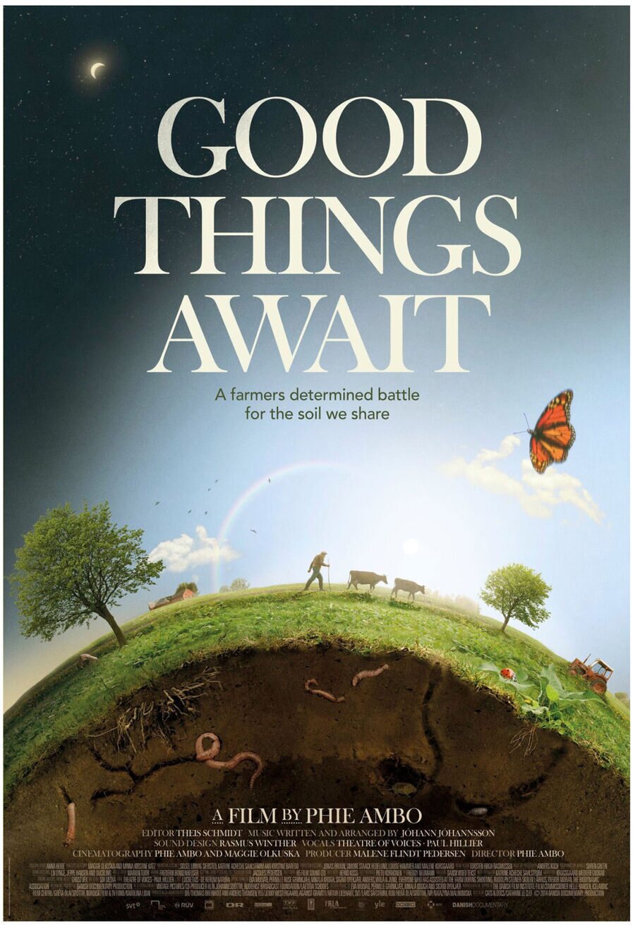 Cartel de Good Things Await - Internacional