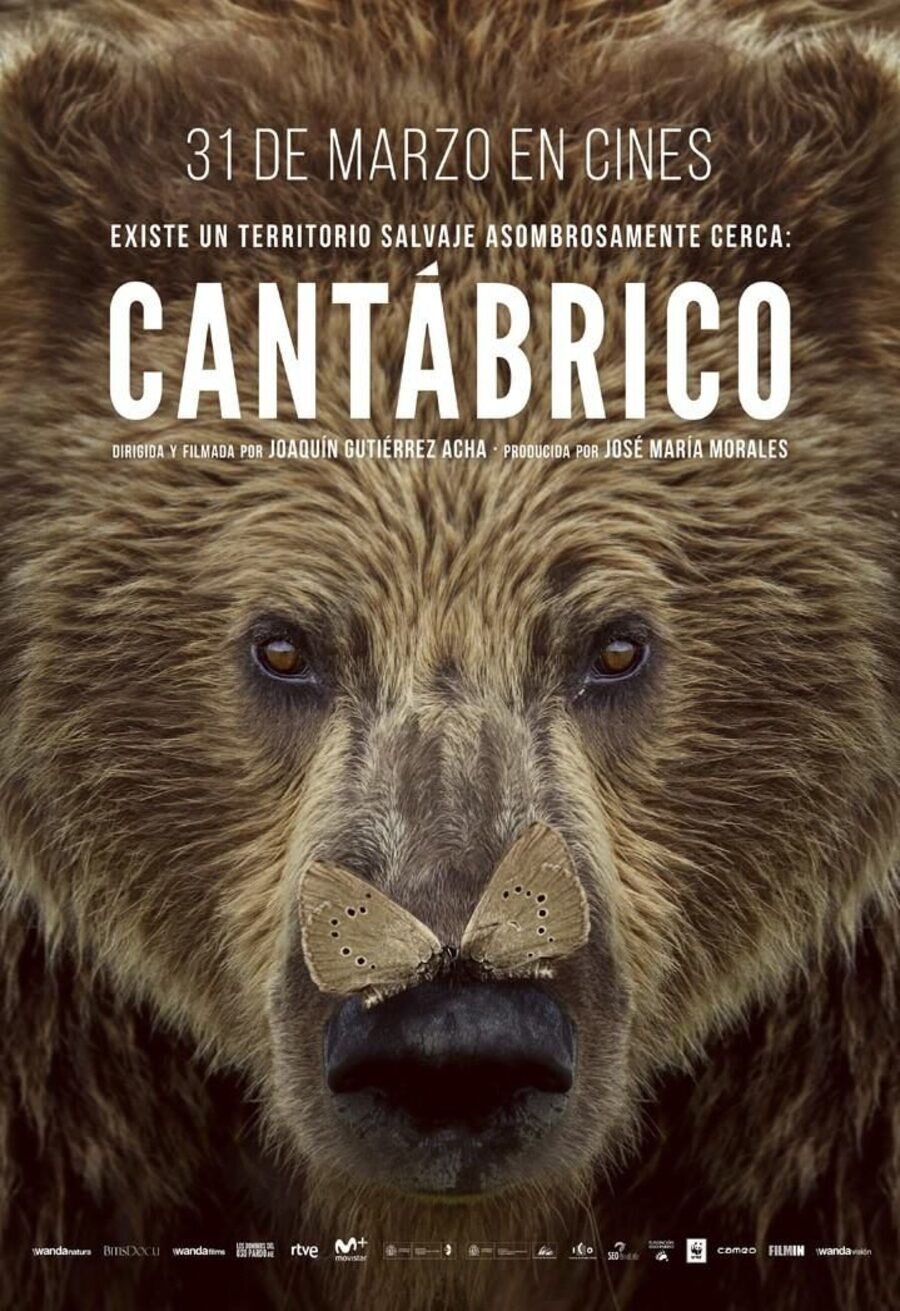 Cartel de Cantábrico - 