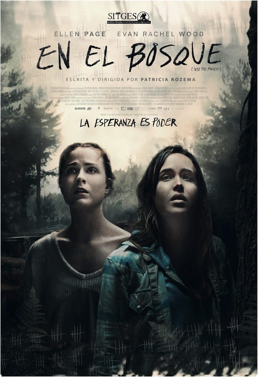 Cartel de En el bosque - Póster España