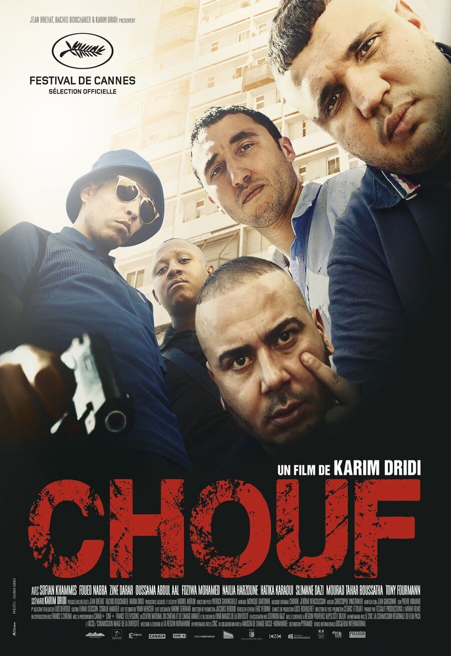 Cartel de Chouf - Francia