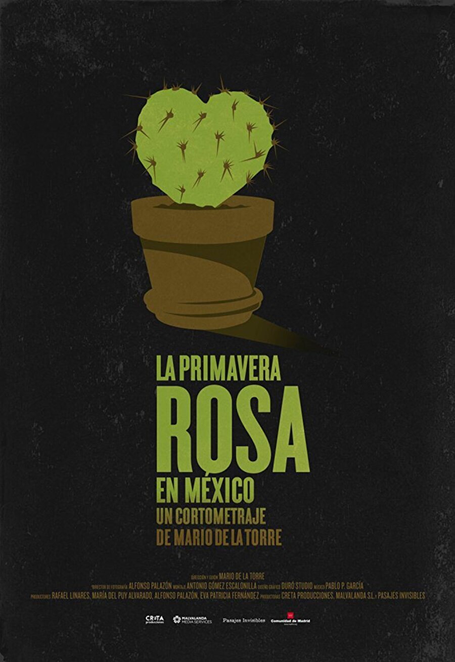 Cartel de Primavera rosa en México - 