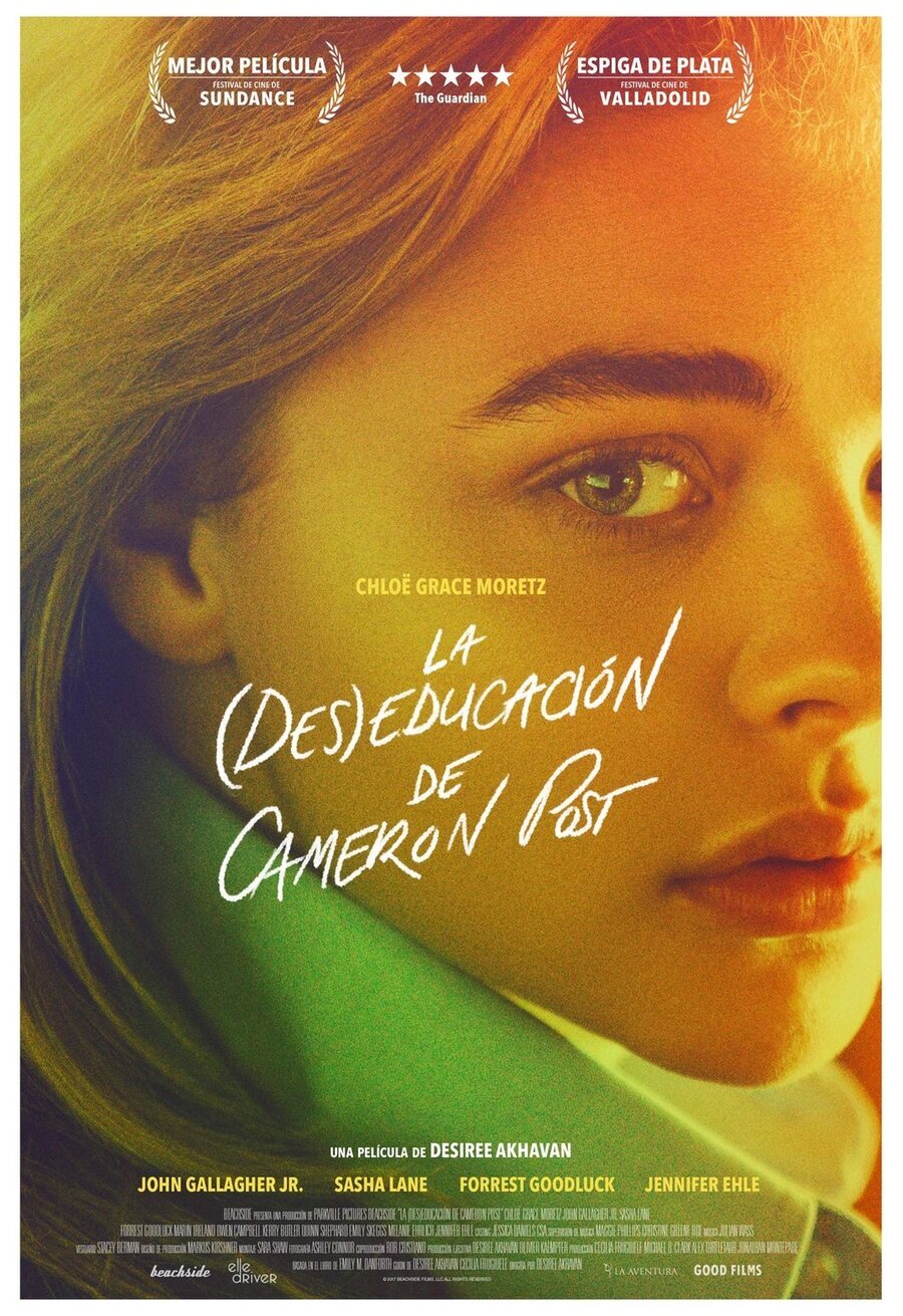 Cartel de The Miseducation of Cameron Post - España