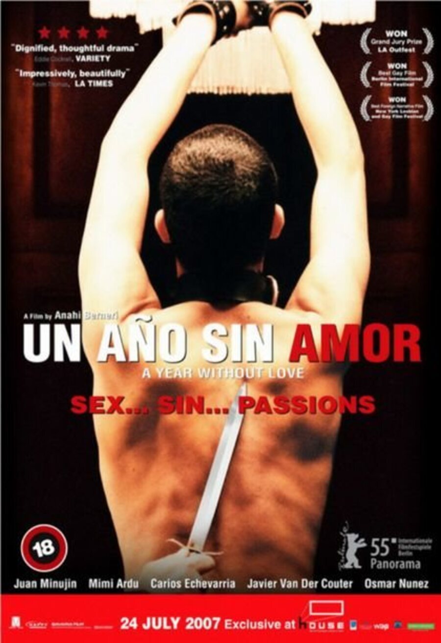 Cartel de Un año sin amor - Cartel argentino