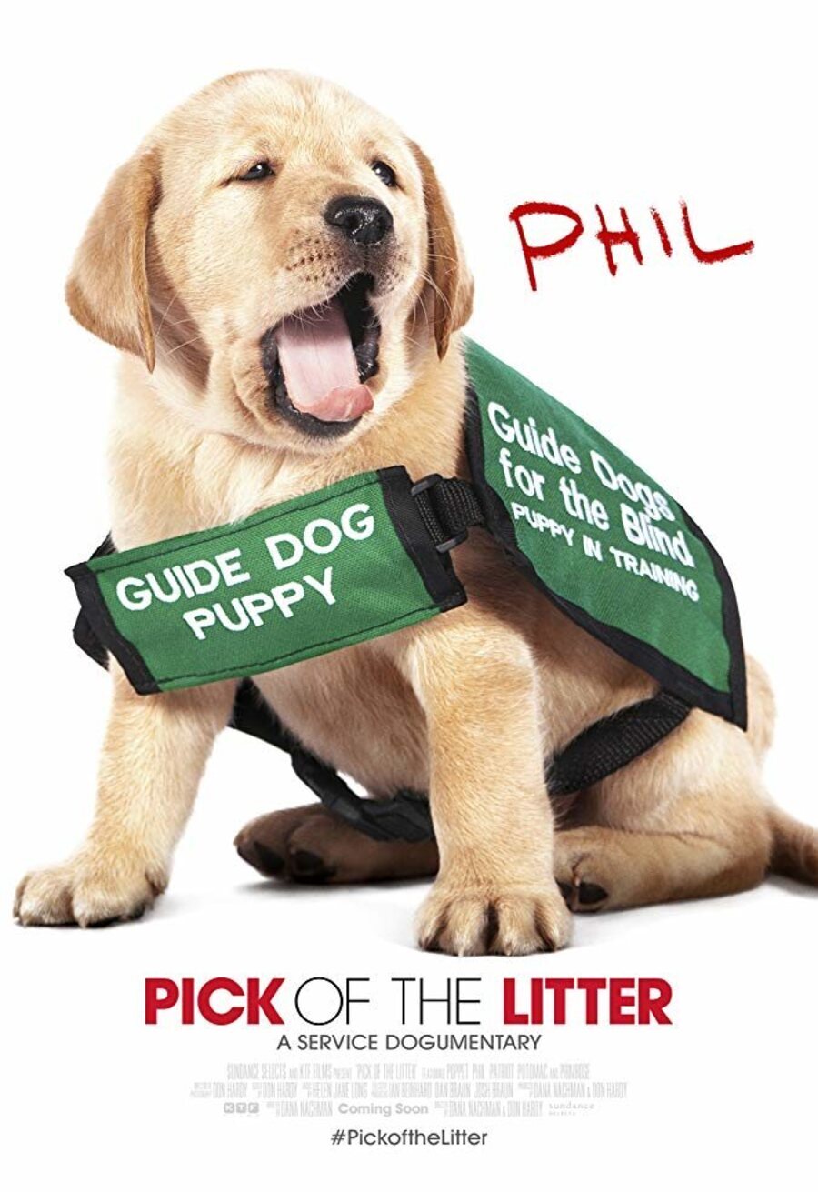 Cartel de Pick of the Litter - Pick of the Litter