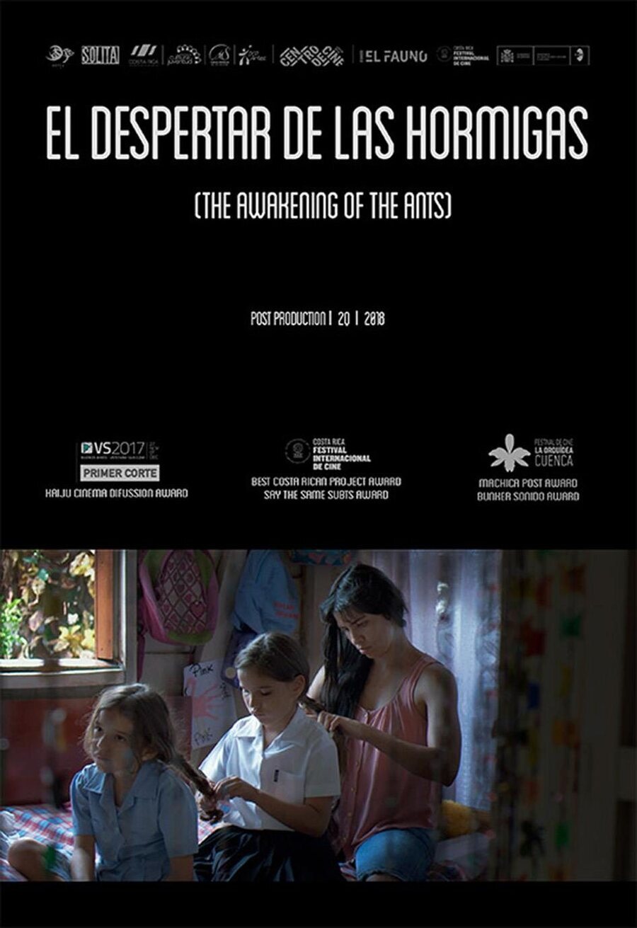 Cartel de El despertar de las hormigas - Teaser poster