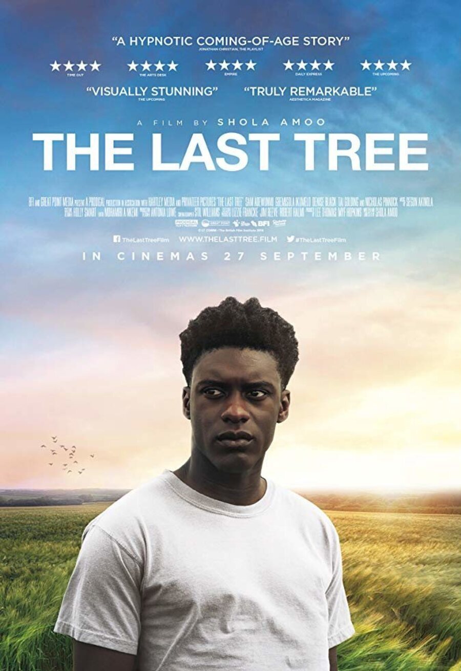 Cartel de The Last Tree - UK