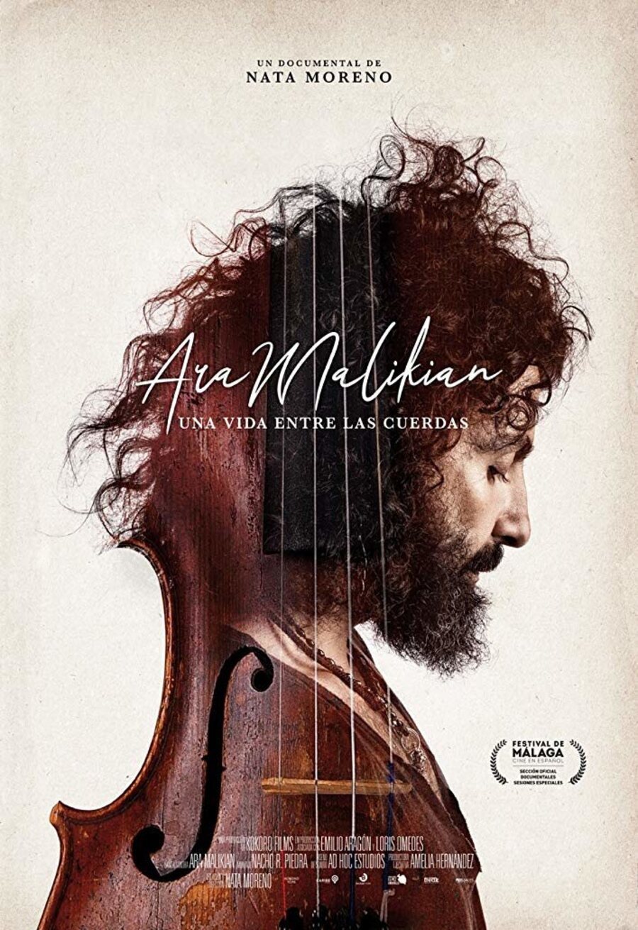 Cartel de Ara Malikian, una vida entre las cuerdas - Ara Malikian, una vida entre las cuerdas