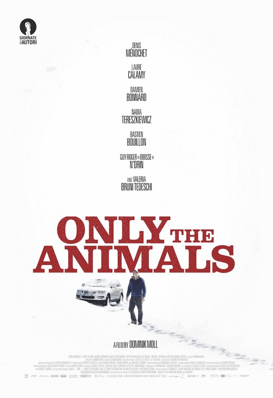 Cartel de Only the Animals - Internacional