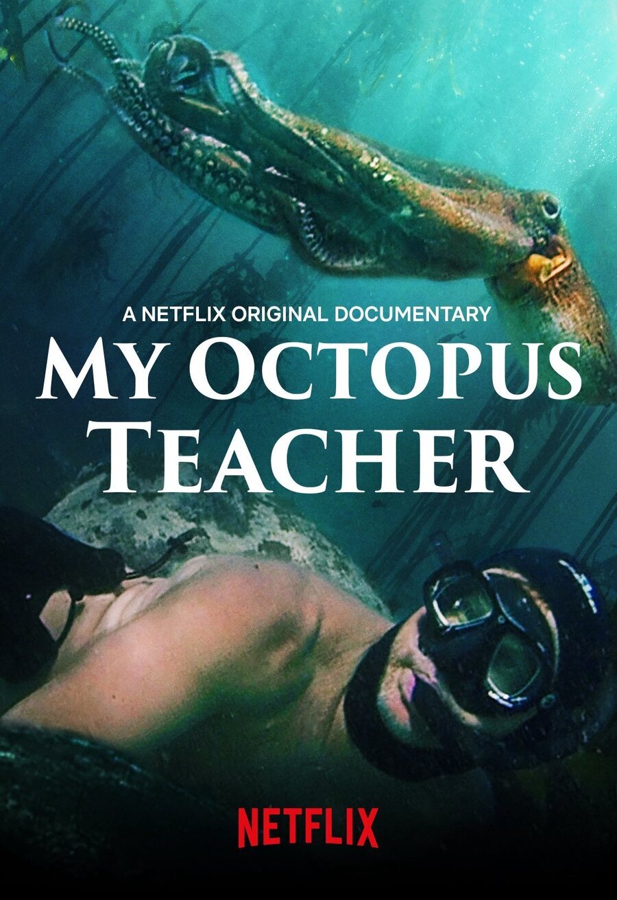 Cartel de My Octopus Teacher - EEUU