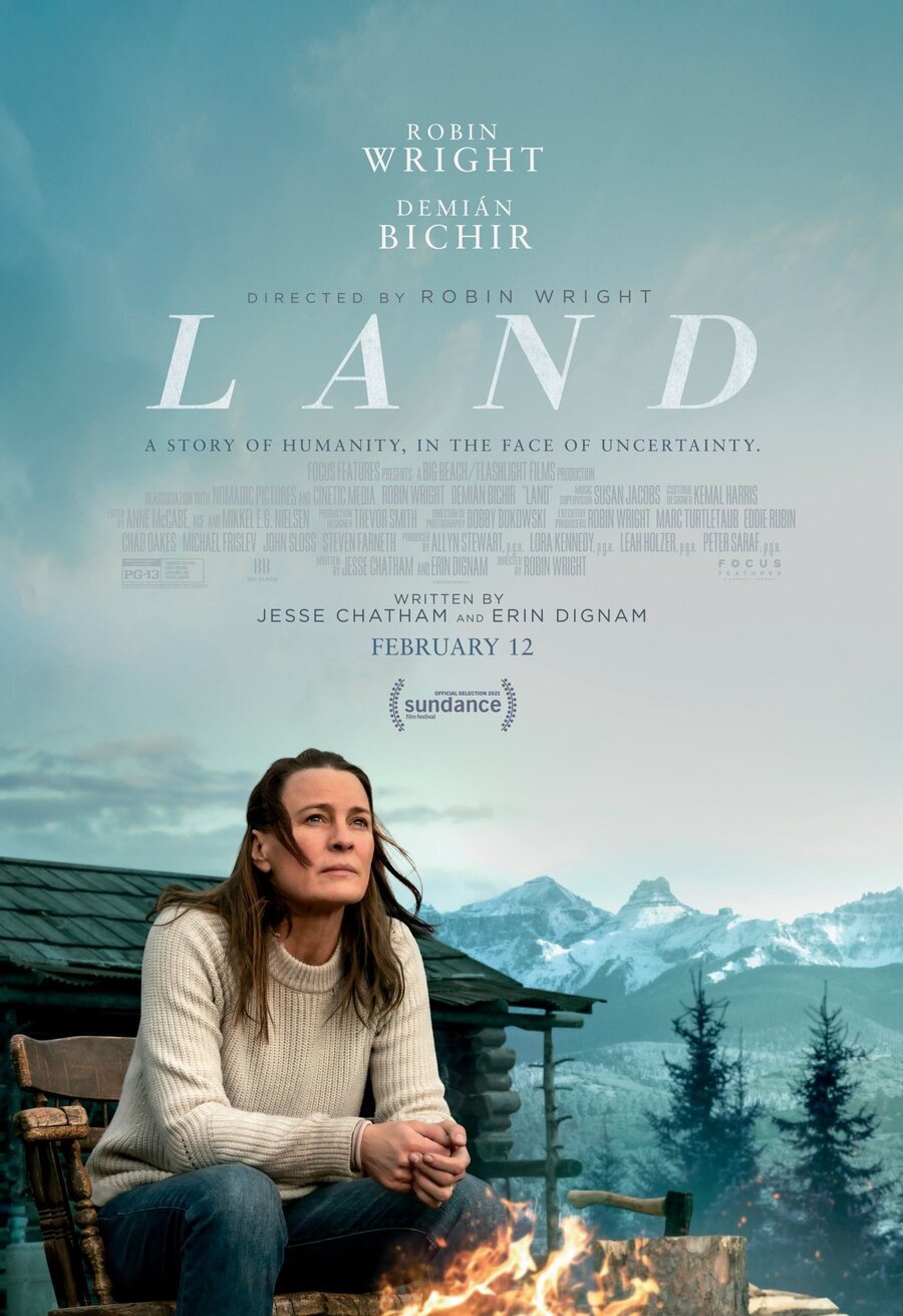 Cartel de Land - EE.UU.