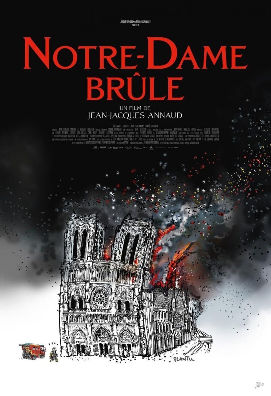 Cartel de Notre-Dame brûle - Francia