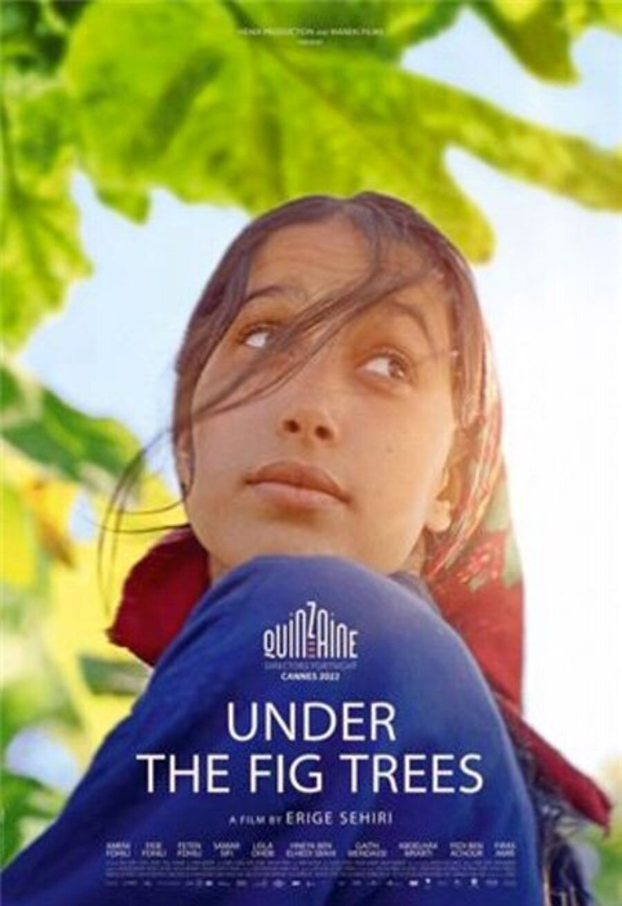 Cartel de Under the Fig Trees - EE.UU.