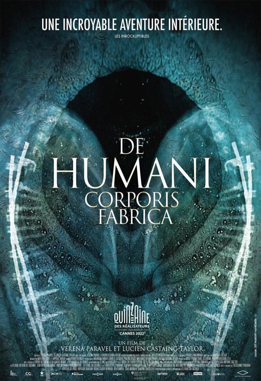 Cartel de De humani corporis fabrica - Cartel francés