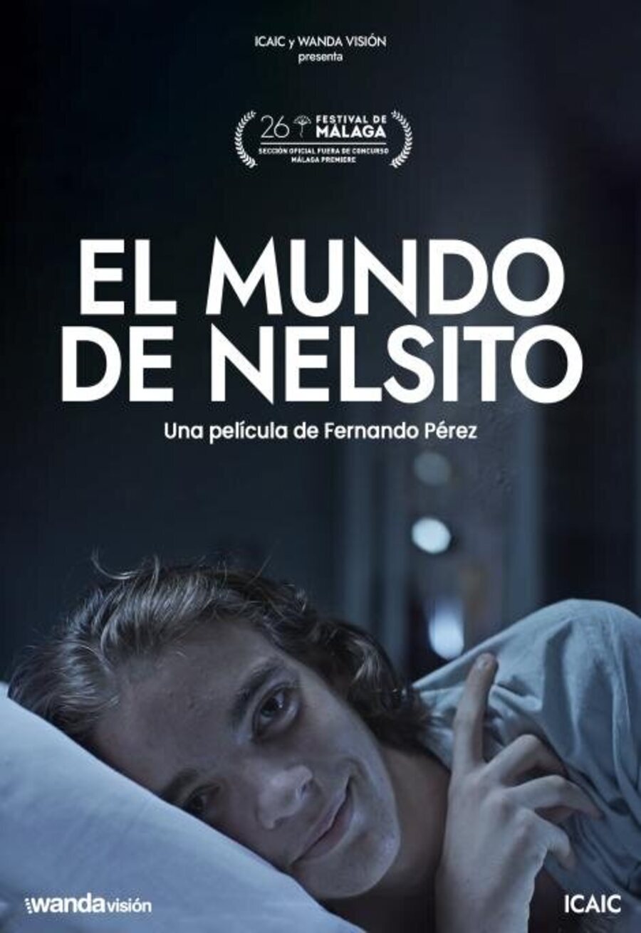 Cartel de El mundo de Nelsito - 