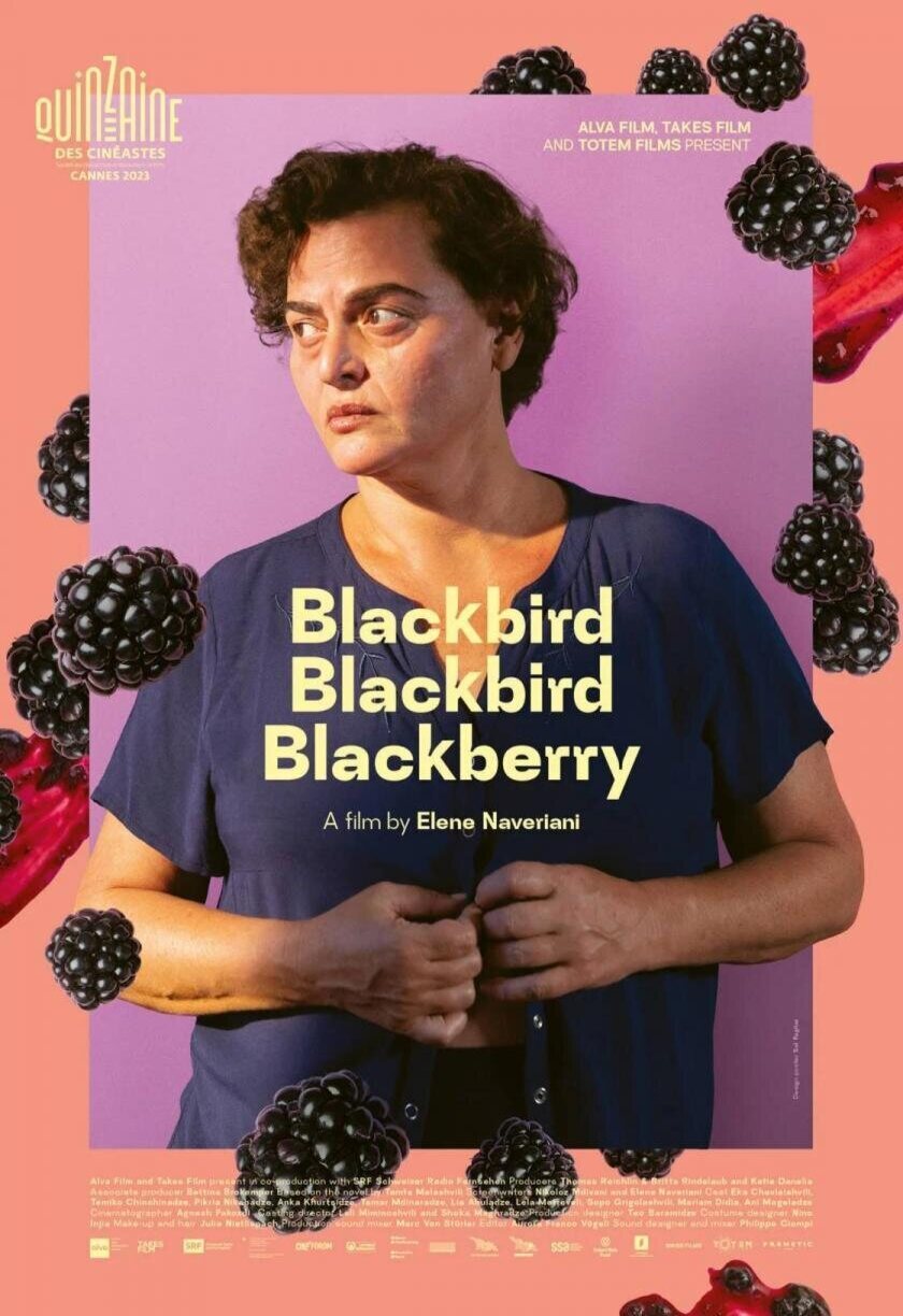 Cartel de Blackbird Blackbird Blackberry - Póster