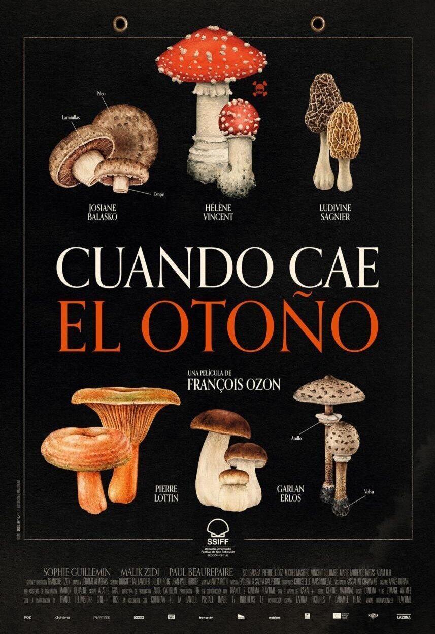 Cartel de Cuando cae el otoño - 