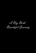 Big Bold Beautiful Journey