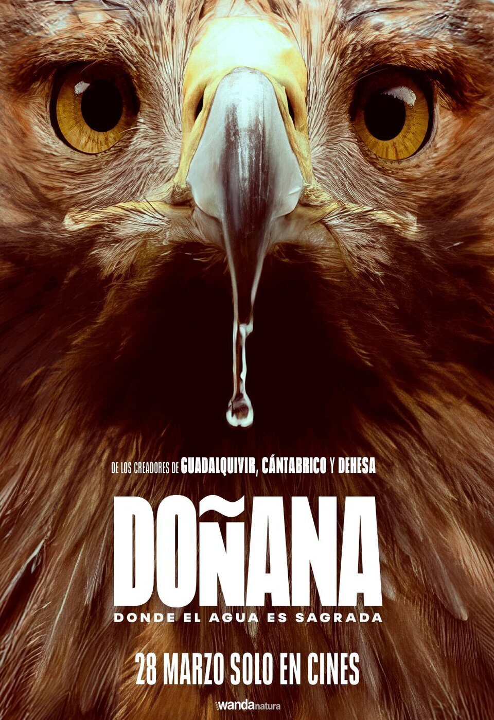 Cartel de Doñana - Póster