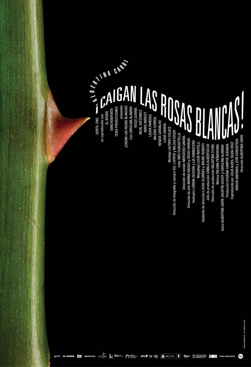 Cartel de ¡Caigan las rosas blancas! - Póster