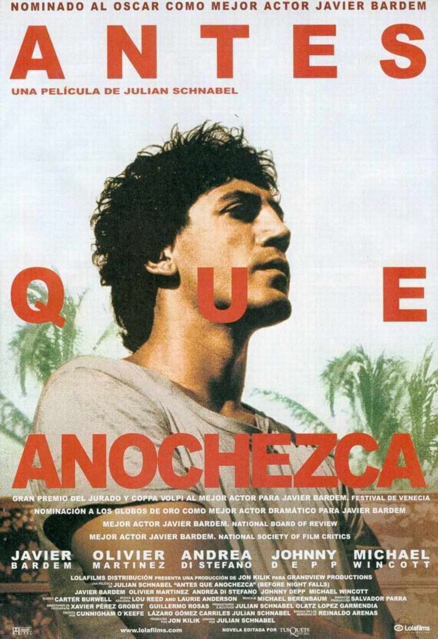 Cartel de Antes que anochezca - España