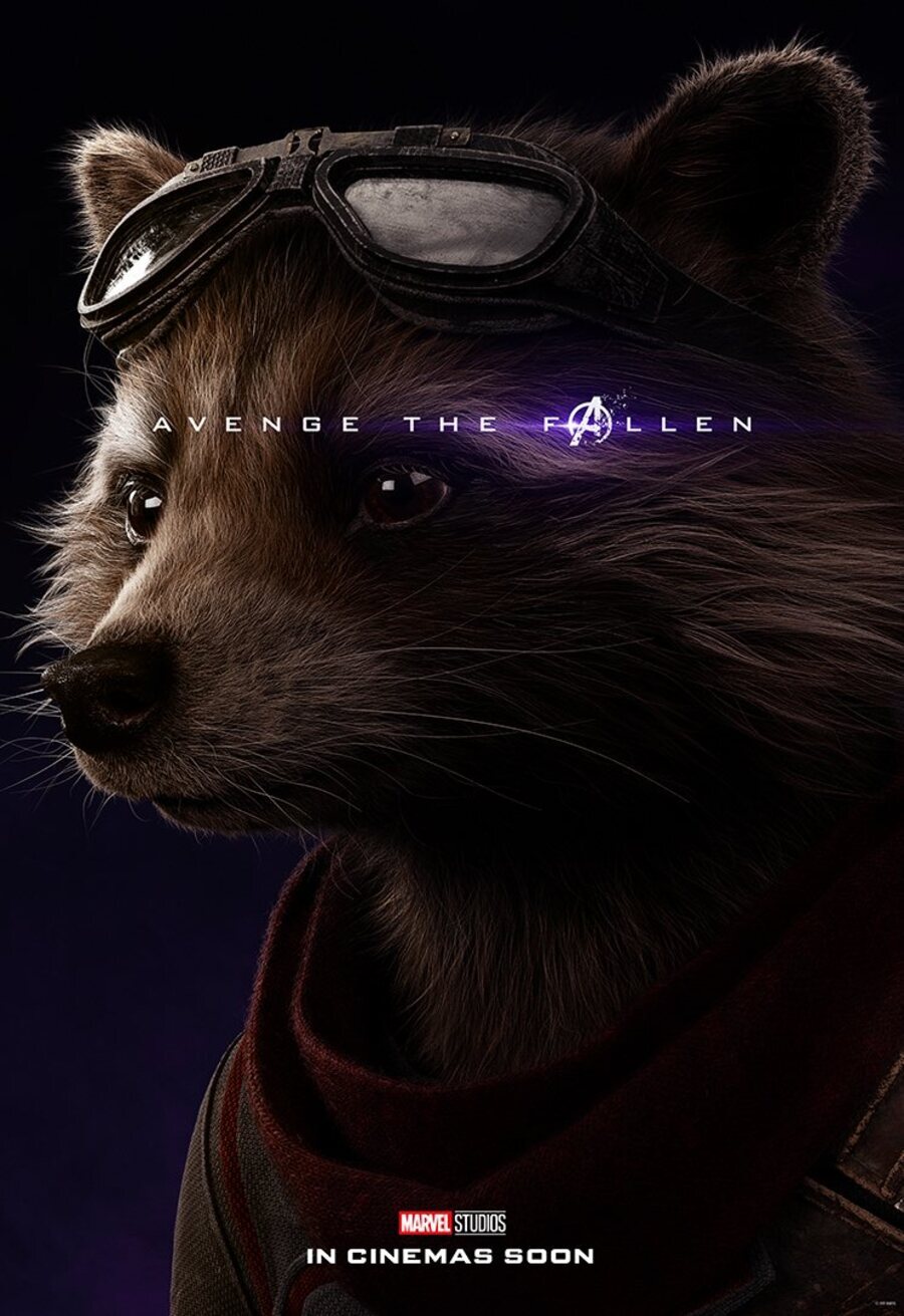 Cartel de Avengers: Endgame - Rocket