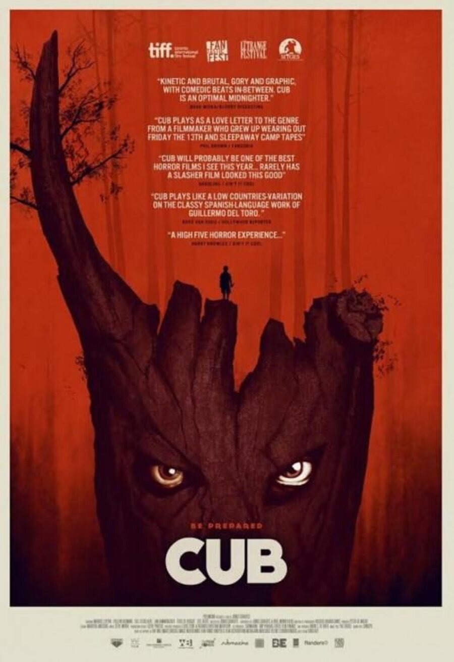 Cartel de Cub - Internacional