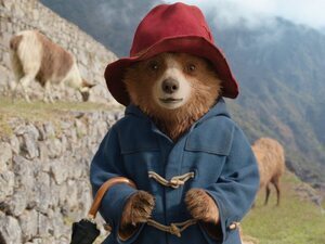 Paddington en Perú